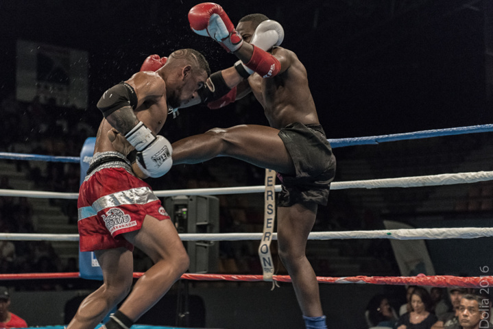 Boxe Thaï: "Le Choc de l'Océan Indien" a tenu ses promesses Boxe Thaï: "Le Choc de l'Océan Indien" a tenu ses promesses