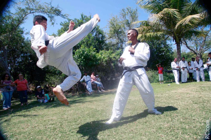 Une figure spectaculaire du «karaté volant» Une figure spectaculaire du «karaté volant»