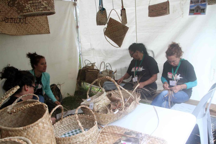 Le vacoa de Saint-Philippe en vedette Le vacoa de Saint-Philippe en vedette