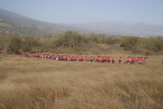 Odyssea, la marée rose!