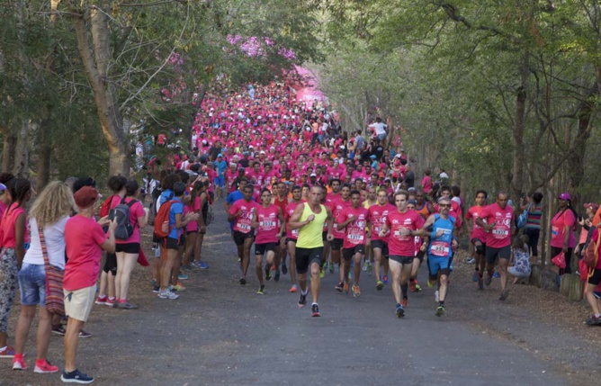 Odyssea, la marée rose!