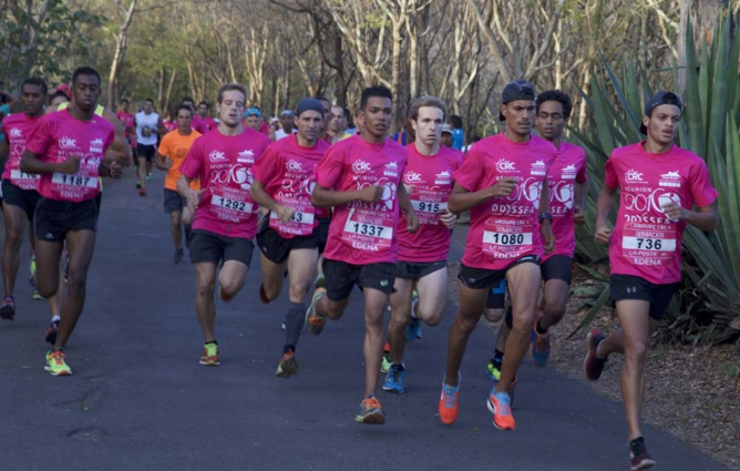 Odyssea, la marée rose! Odyssea, la marée rose!