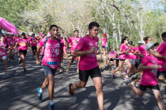 Odysséa: suite des photos