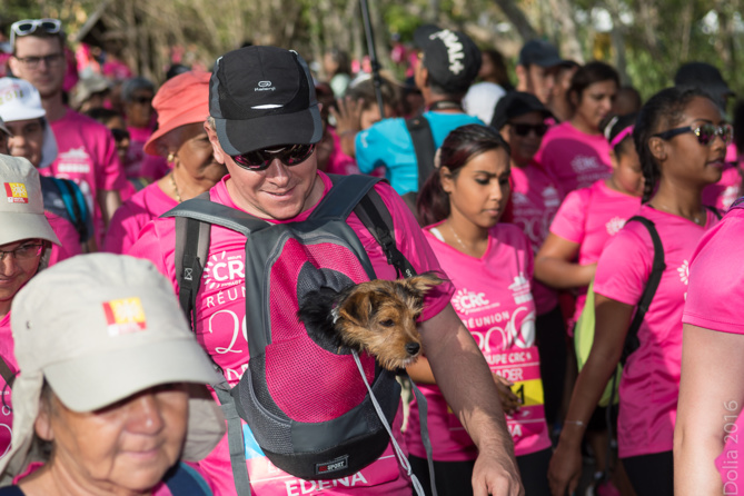 Odysséa: suite des photos Odysséa: suite des photos