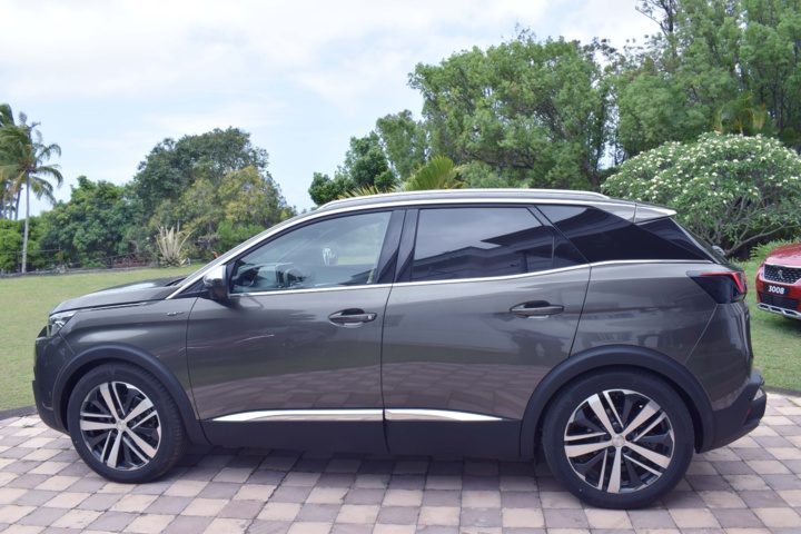 Un profil dynamique... Un profil dynamique...