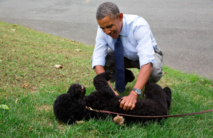 Le chien des Obama mord une jeune visiteuse 