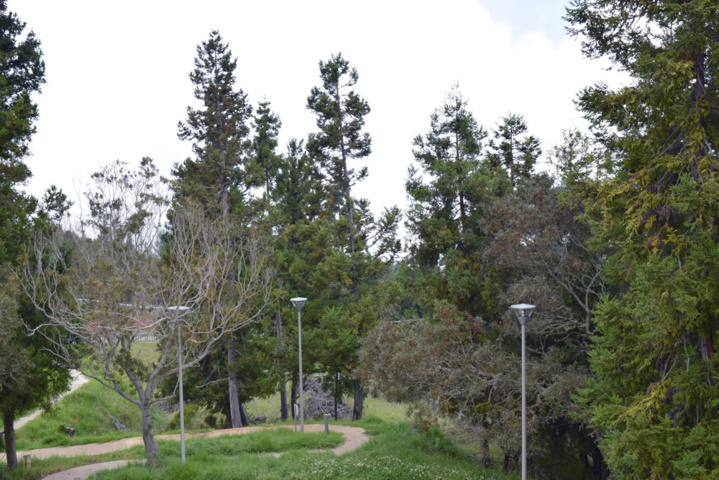 Bouffée d'oxygène assurée! Bouffée d'oxygène assurée!