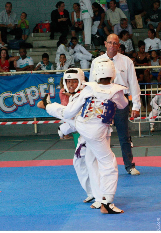 Taekwondo: Des billets pris pour Lyon Taekwondo: Des billets pris pour Lyon