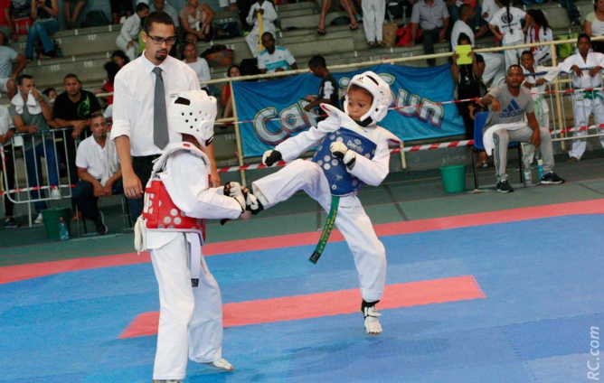 Taekwondo: Des billets pris pour Lyon Taekwondo: Des billets pris pour Lyon