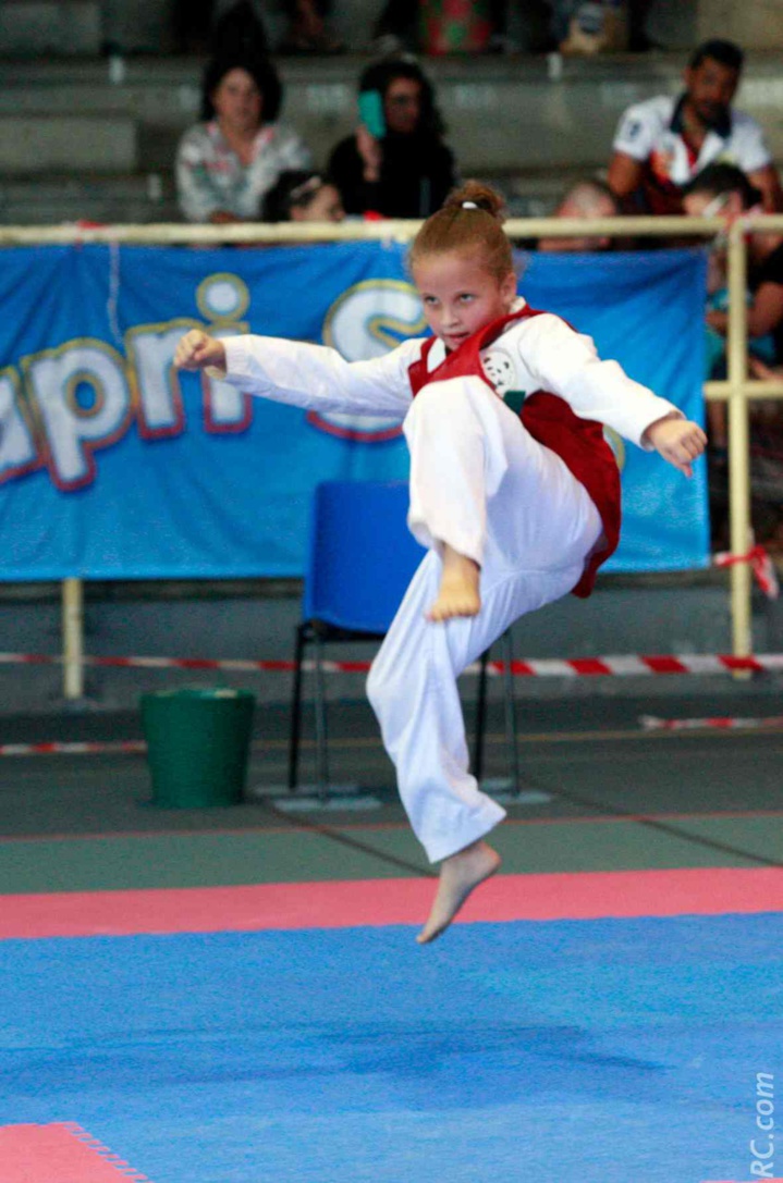 Taekwondo : Superbe ambiance à la Coupe Féminine 2017