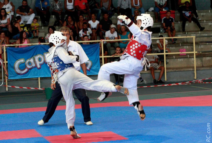 Taekwondo : Superbe ambiance à la Coupe Féminine 2017