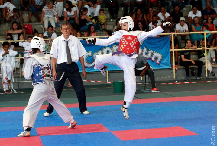 Taekwondo : Superbe ambiance à la Coupe Féminine 2017 Taekwondo : Superbe ambiance à la Coupe Féminine 2017
