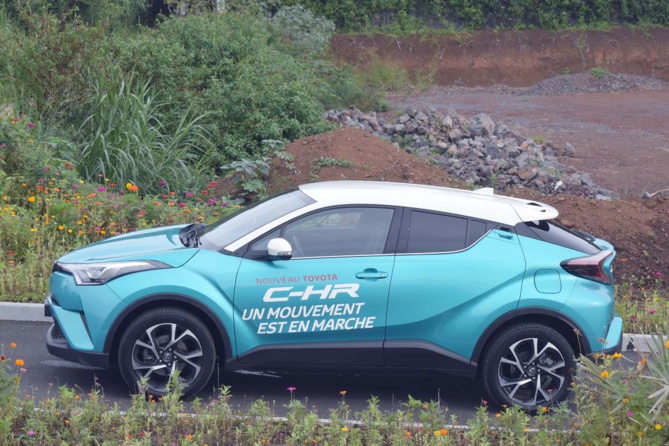 Il a le look indiscutablement!