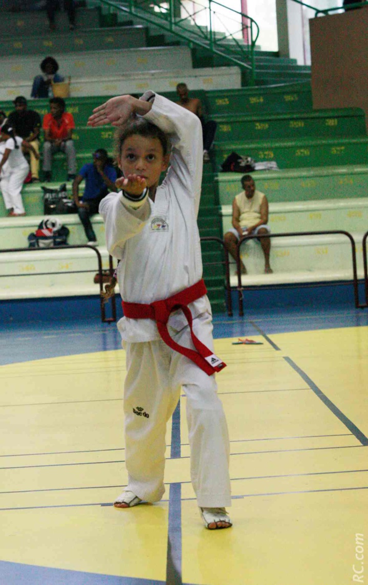 Taekwondo : Une dynamique qui s'amplifie Taekwondo : Une dynamique qui s'amplifie