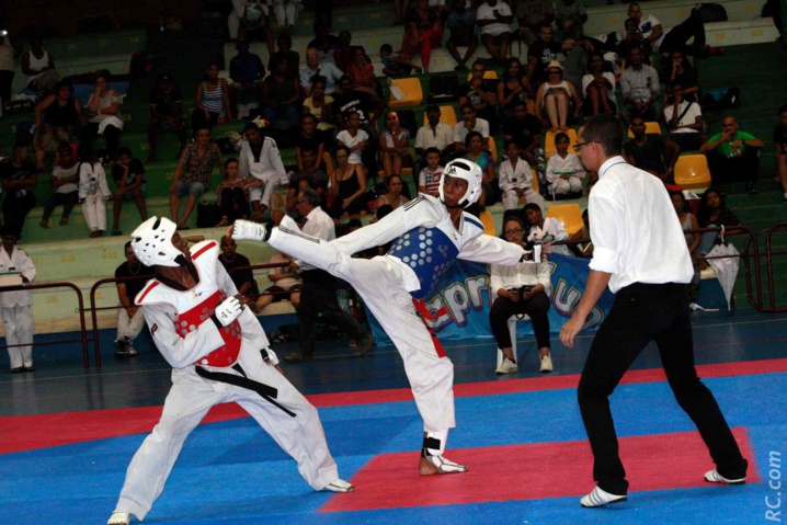 Taekwondo : Une dynamique qui s'amplifie Taekwondo : Une dynamique qui s'amplifie