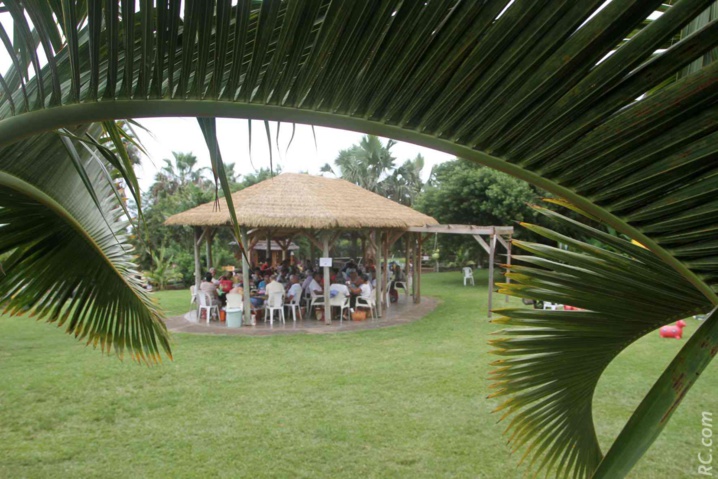Un petit coin de paradis où le coco est roi Un petit coin de paradis où le coco est roi