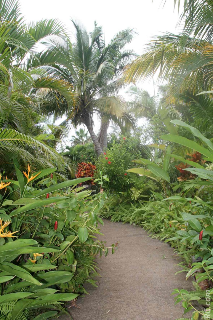 Au bout de cette belle allée, la Maison du Coco vous ouvre ses portes Au bout de cette belle allée, la Maison du Coco vous ouvre ses portes