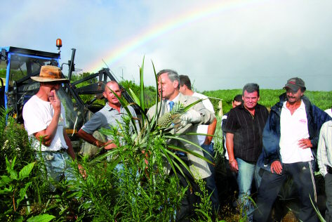 Le préfet, Pierre-Henri Maccioni dans une plantation d’ananas