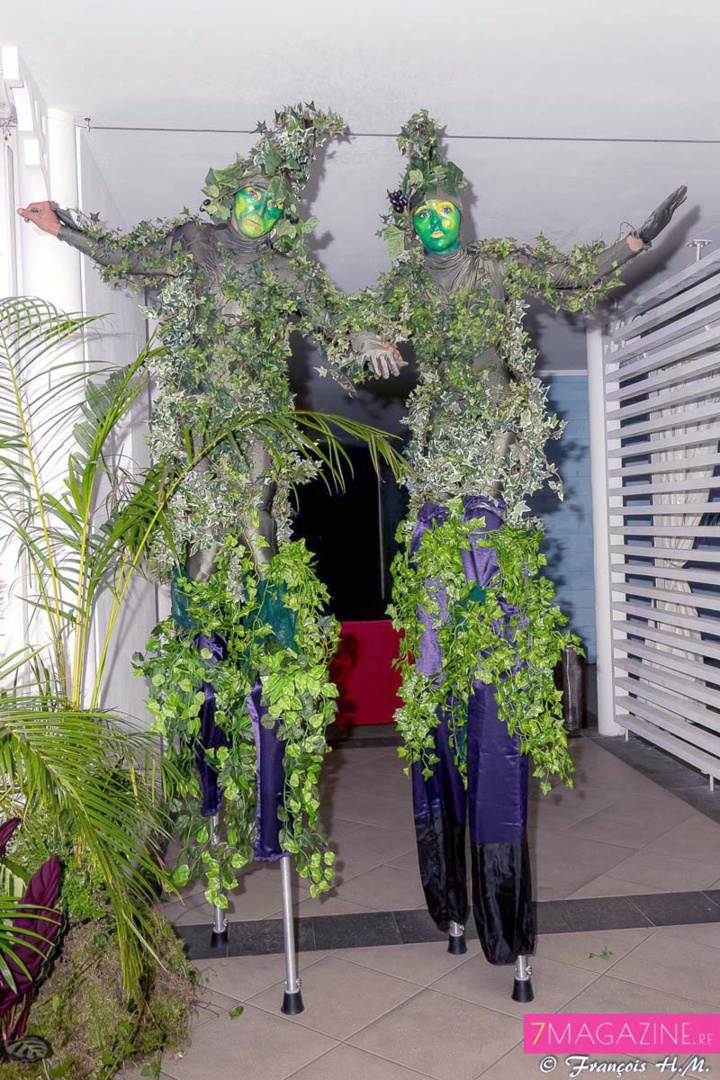 Les Saltimbanques en action en Green Les Saltimbanques en action en Green