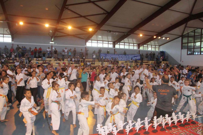 Le Trophée du TKD du 17ème est la manifestation phare de l'association Le Trophée du TKD du 17ème est la manifestation phare de l'association