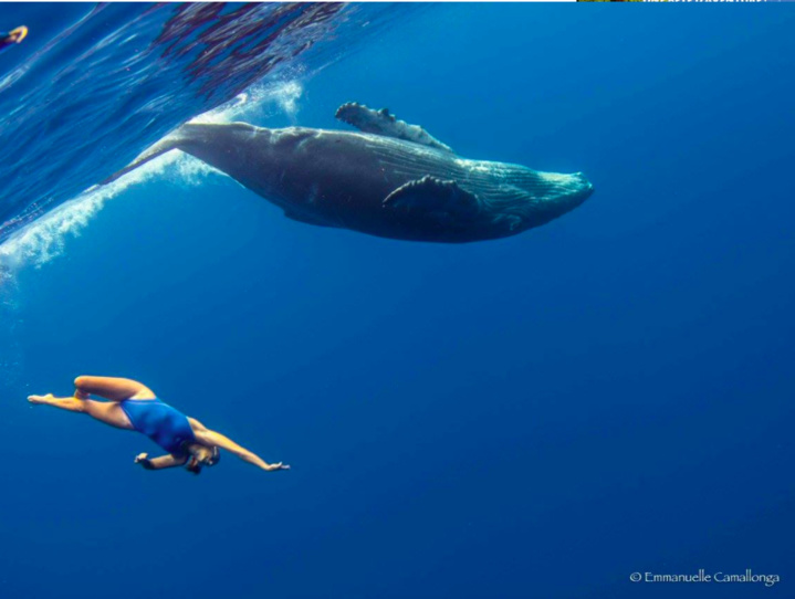 Unique : Une championne de natation synchronisée plonge à La Réunion avec des baleines... Unique : Une championne de natation synchronisée plonge à La Réunion avec des baleines...