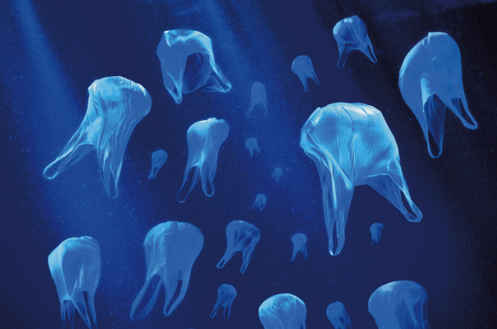 Mieux consommer, mieux préserver Mieux consommer, mieux préserver