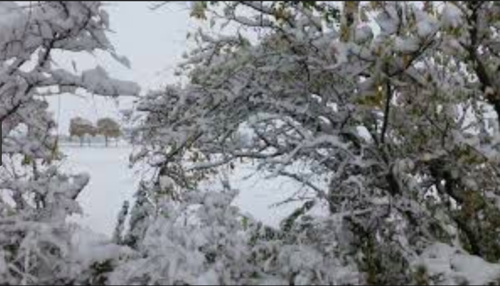 Les prédictions 2018 de Jocelyn, première partie