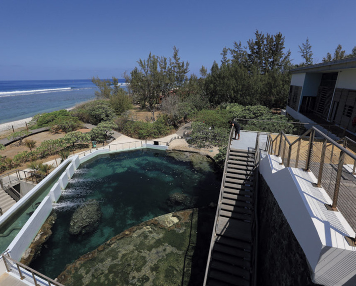 Les vacances aux musées Les vacances aux musées