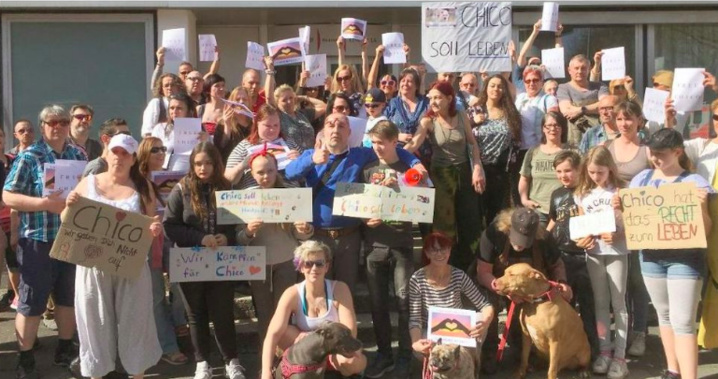 Photo: capture Twitter