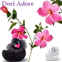 Le fameux petit canard Le fameux petit canard