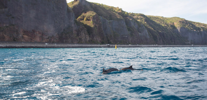 La NRL : Un chantier Réunionnais, National et Européen de sécurisation La NRL : Un chantier Réunionnais, National et Européen de sécurisation