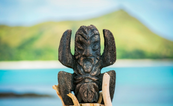 Photo : Capture Twitter TF1 Photo : Capture Twitter TF1