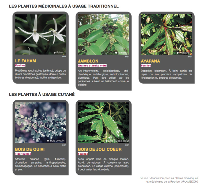 19 plantes locales à la Pharmacopée française 19 plantes locales à la Pharmacopée française
