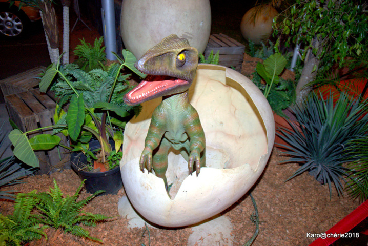 Soirée Jurassic World : De la frayeur à l'émotion pour quelques privilégiés Soirée Jurassic World : De la frayeur à l'émotion pour quelques privilégiés