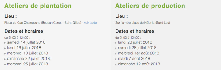 Venez participer aux ateliers de plantation sur les plages de pontes de tortues marines Venez participer aux ateliers de plantation sur les plages de pontes de tortues marines