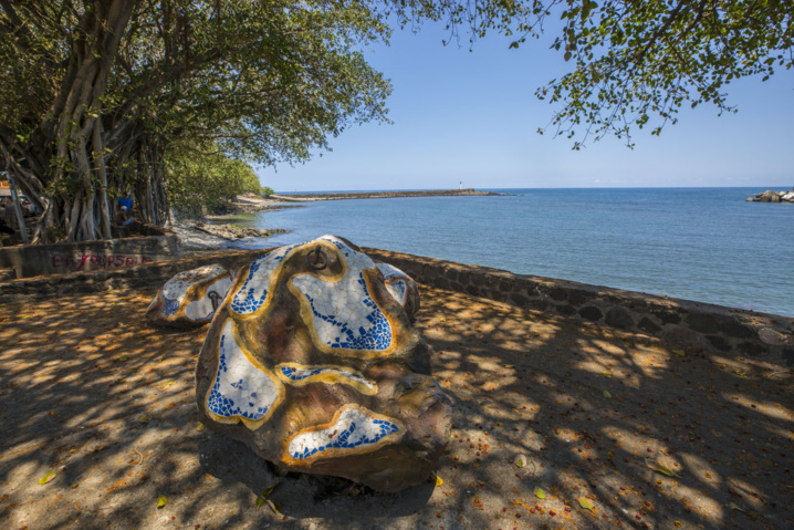 Grand Raid 2018, la Région dans la course. Grand Raid 2018, la Région dans la course.
