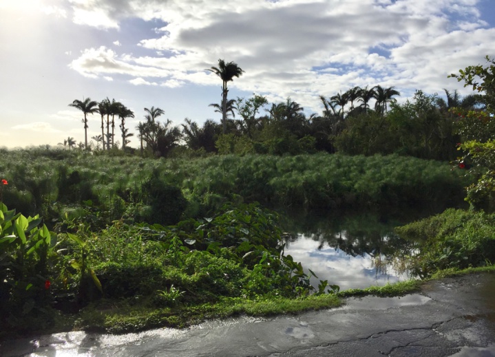 Balade péi : Tour des Roches. Balade péi : Tour des Roches.