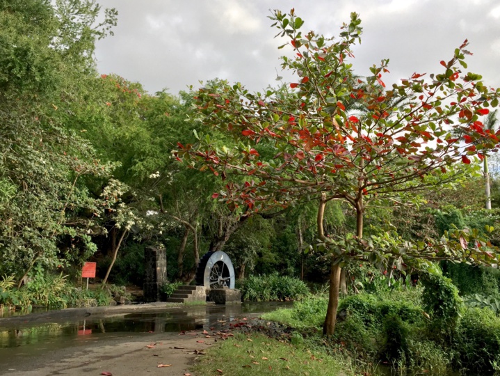 Balade péi : Tour des Roches. Balade péi : Tour des Roches.