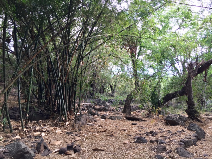 Balade péi : Tour des Roches. Balade péi : Tour des Roches.