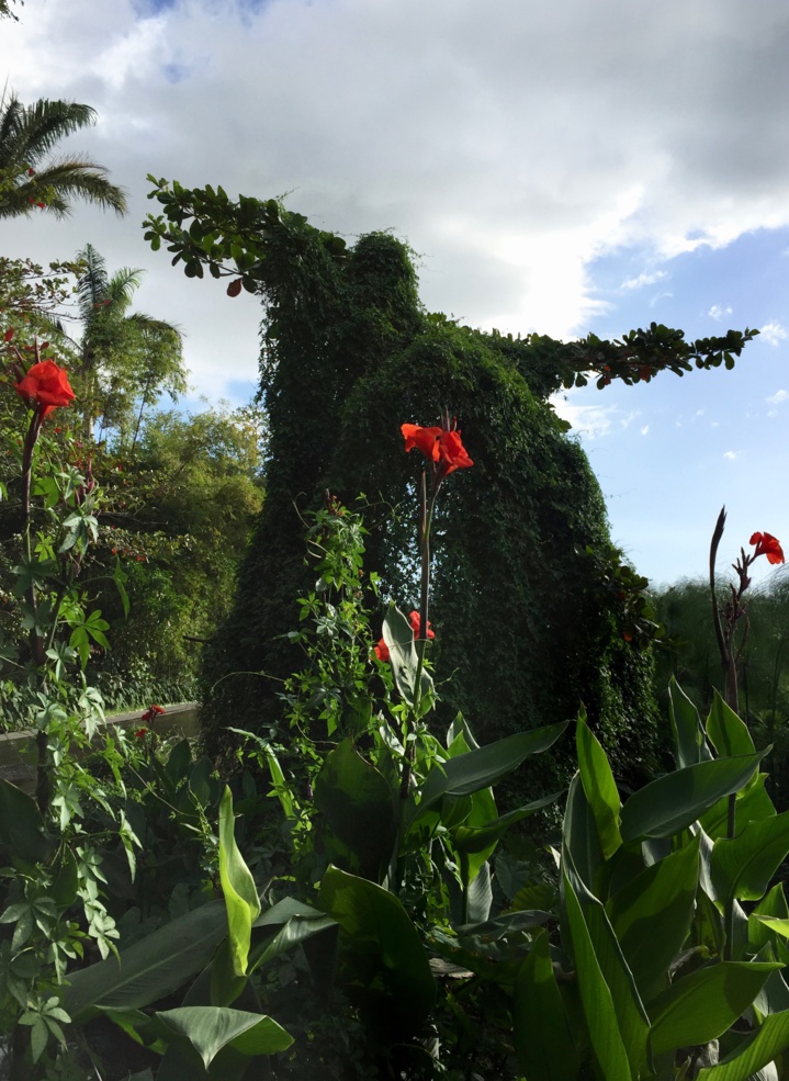 Balade péi : Tour des Roches. Balade péi : Tour des Roches.