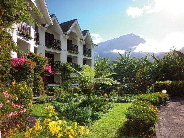 Le Vieux Cep à Cilaos