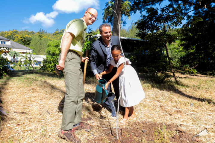 Journée internationale de la forêt Journée internationale de la forêt