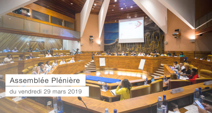 Assemblée Plénière du 29 mars 2019 - Budget primitif 2019 Assemblée Plénière du 29 mars 2019 - Budget primitif 2019