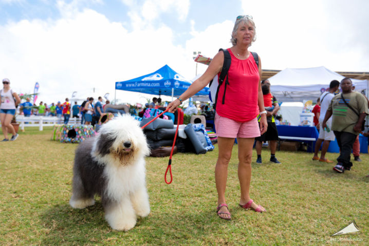 Exposition Canine Nationale de Trois-Bassins Exposition Canine Nationale de Trois-Bassins