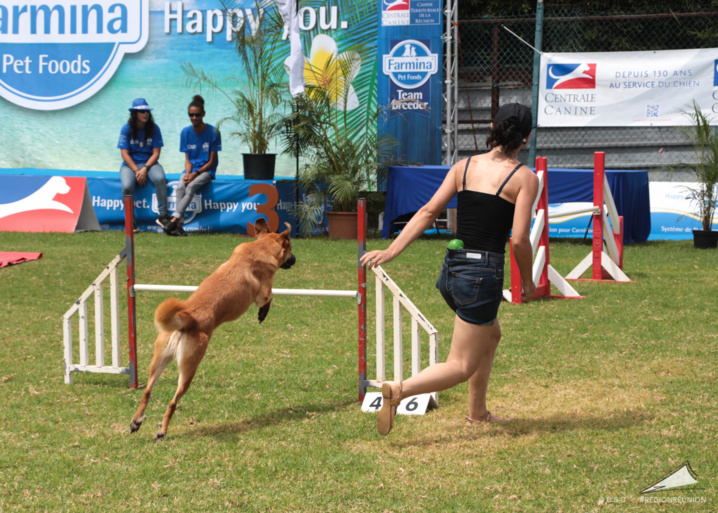 Exposition Canine Nationale de Trois-Bassins Exposition Canine Nationale de Trois-Bassins