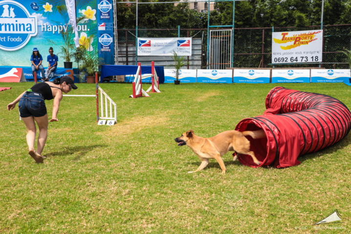 Exposition Canine Nationale de Trois-Bassins Exposition Canine Nationale de Trois-Bassins