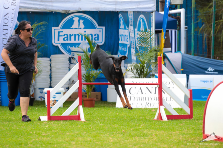Exposition Canine Nationale de Trois-Bassins Exposition Canine Nationale de Trois-Bassins