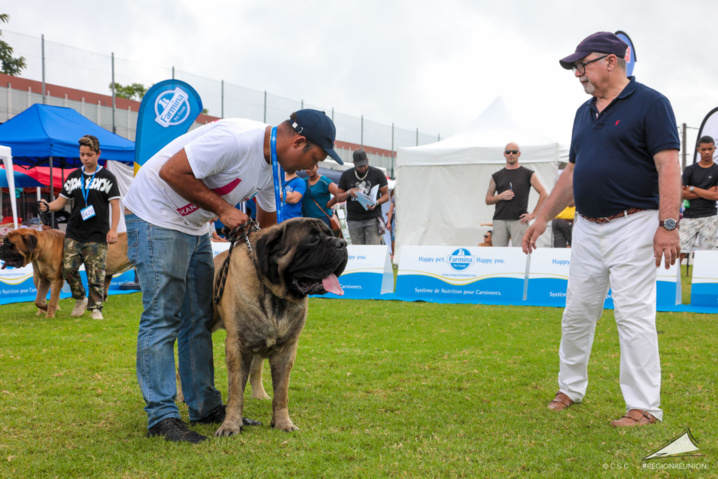 Exposition Canine Nationale de Trois-Bassins Exposition Canine Nationale de Trois-Bassins