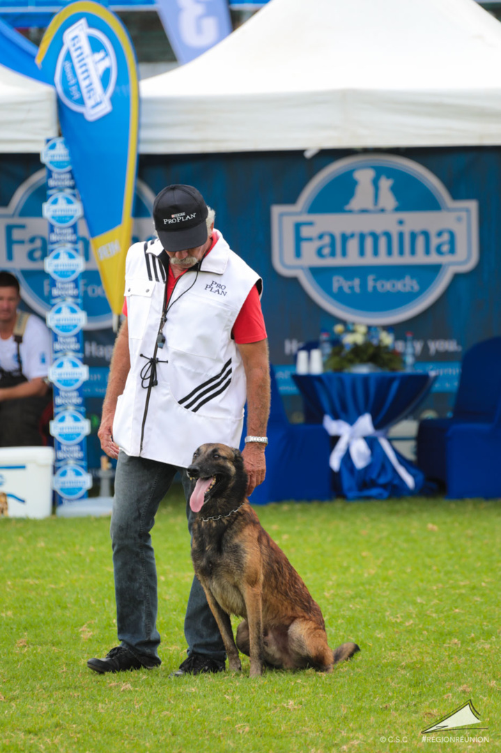 Exposition Canine Nationale de Trois-Bassins Exposition Canine Nationale de Trois-Bassins