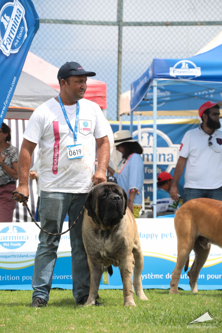 Exposition Canine Nationale de Trois-Bassins Exposition Canine Nationale de Trois-Bassins